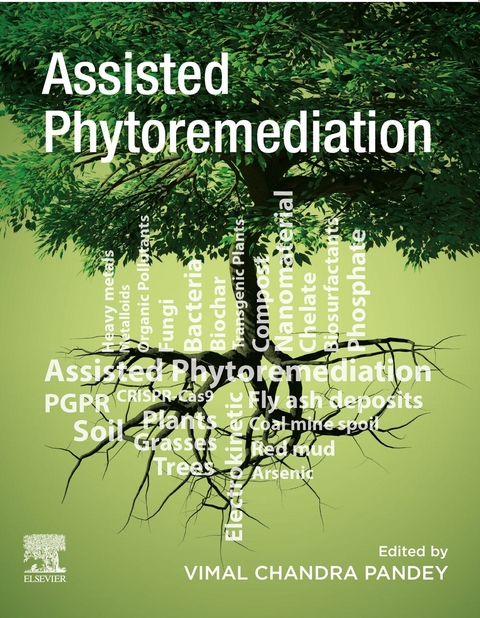 Assisted Phytoremediation - 