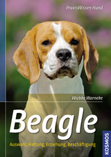 Beagle - Wiebke Warneke