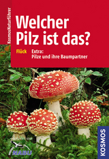 Welcher Pilz ist das? - Flück, Markus