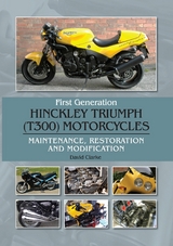 First Generation Hinckley Triumph (T300) Motorcycles -  David Clarke