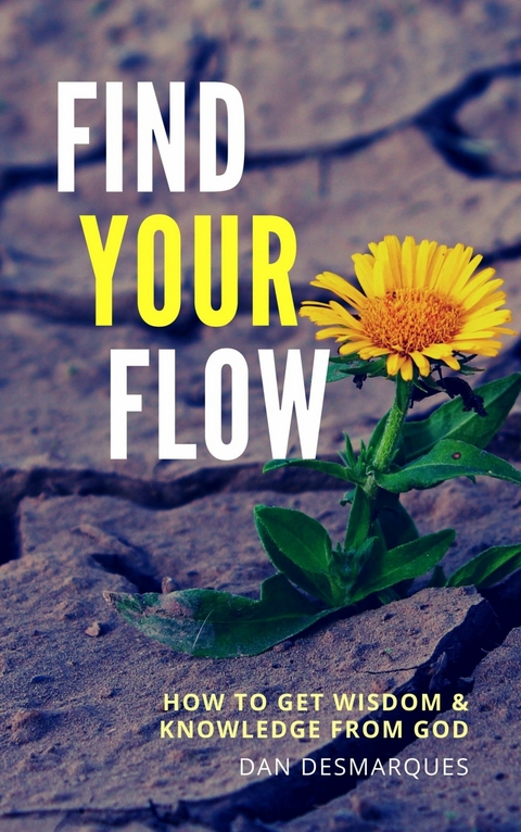 Find Your Flow -  Dan Desmarques