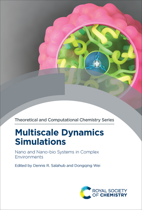 Multiscale Dynamics Simulations - 