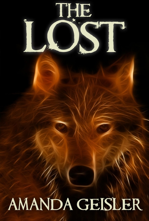 Lost -  Amanda Geisler