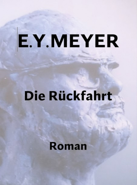 Die Rückfahrt - E. Y. Meyer