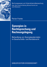 Synergien in Rechtsprechung und Rechnungslegung - Florian Franke