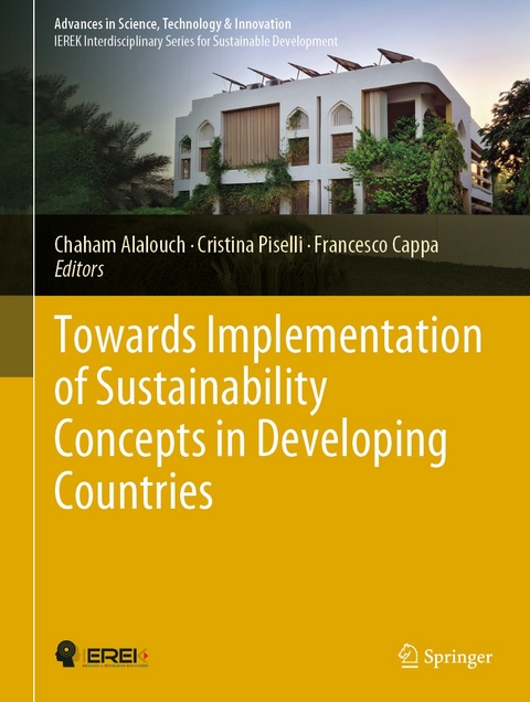 Towards Implementation of Sustainability Concepts in Developing Countries - 