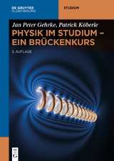 Physik im Studium – Ein Brückenkurs - Jan Peter Gehrke, Patrick Köberle