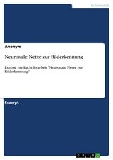 Neuronale Netze zur Bilderkennung