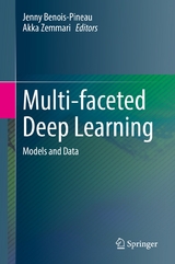 Multi-faceted Deep Learning - 