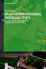 Multidimensional Inequalities - Bent Greve