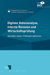 Digitale Datenanalyse, Interne Revision und Wirtschaftsprüfung