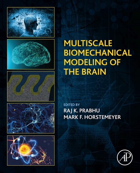 Multiscale Biomechanical Modeling of the Brain - 