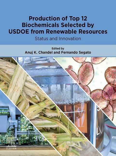 Production of Top 12 Biochemicals Selected by USDOE from Renewable Resources - 