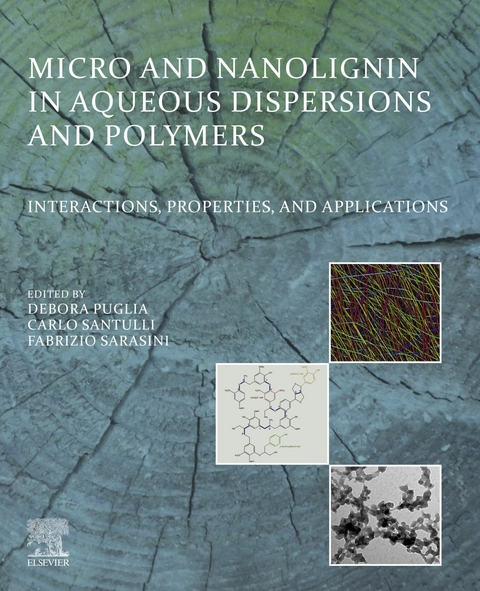 Micro and Nanolignin in Aqueous Dispersions and Polymers - 