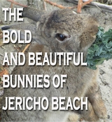 The Bold and Beautiful Bunnies of Jericho Beach - Rowena Kong