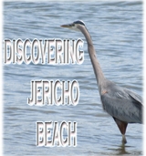 Discovering Jericho Beach -  Rowena Kong