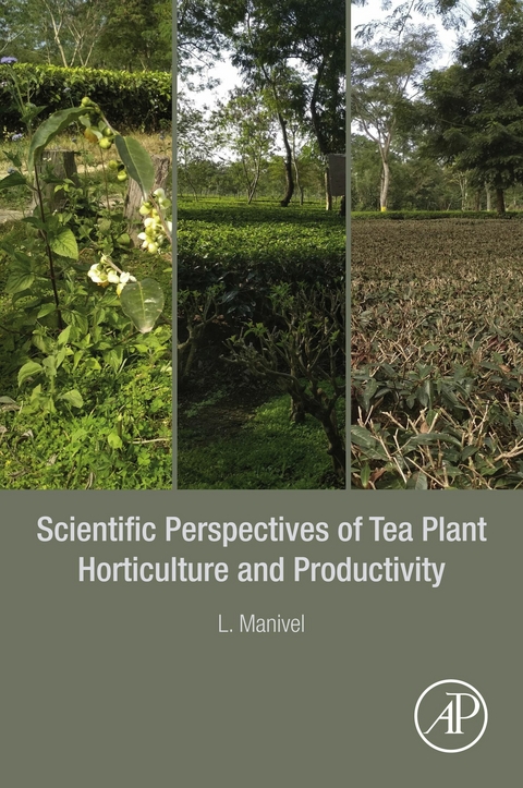 Scientific Perspectives of Tea Plant Horticulture and Productivity -  L. Manivel