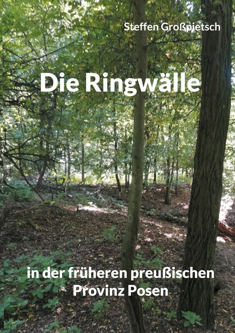 Die Ringwälle - 