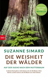 Die Weisheit der Wälder - Suzanne Simard