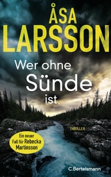 Wer ohne Sünde ist - Åsa Larsson