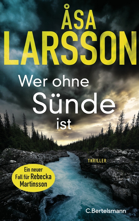 Wer ohne Sünde ist - Åsa Larsson