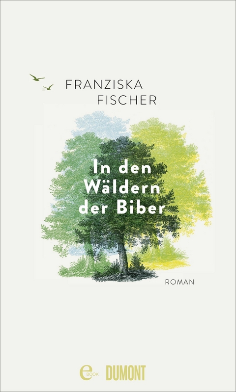 In den Wäldern der Biber -  Franziska Fischer