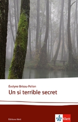 Un si terrible secret - Évelyne Brisou-Pellen