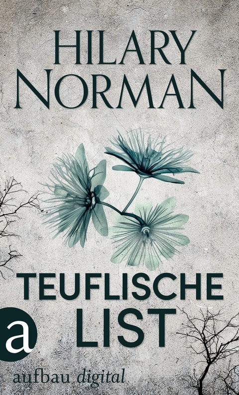 Teuflische List -  Hilary Norman