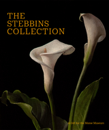 The Stebbins Collection - Regina Palm