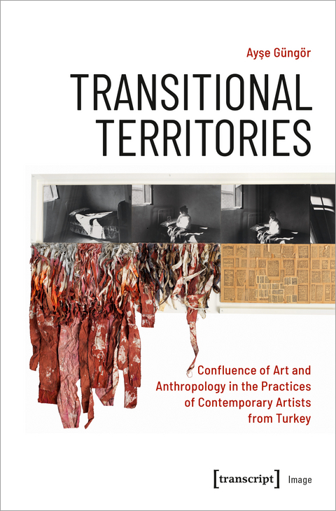 Transitional Territories - Ayse Güngör