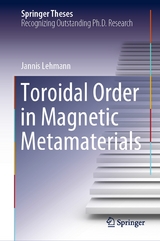 Toroidal Order in Magnetic Metamaterials - Jannis Lehmann