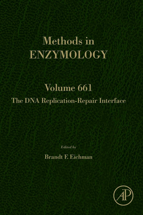 DNA Replication-Repair Interface - 