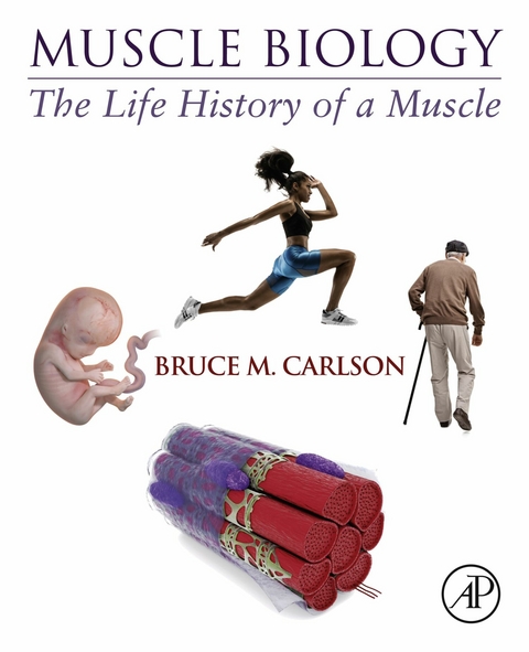 Muscle Biology -  Bruce M. Carlson