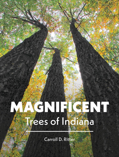 Magnificent Trees of Indiana - Carroll D. Ritter