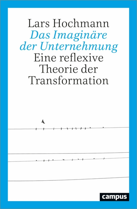 Das Imaginäre der Unternehmung -  Lars Hochmann