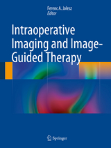 Intraoperative Imaging and Image-Guided Therapy - 