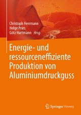 Energie- und ressourceneffiziente Produktion von Aluminiumdruckguss - 