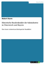 Historische Baudenkmäler der Salzindustrie in Österreich und Bayern -  Robert Sturm