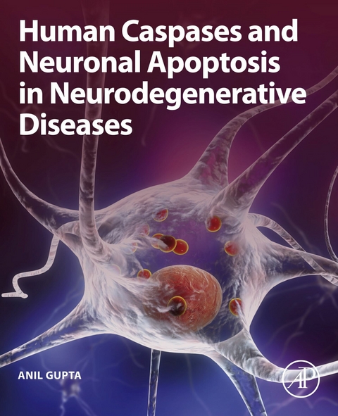 Human Caspases and Neuronal Apoptosis in Neurodegenerative Diseases -  Anil Gupta