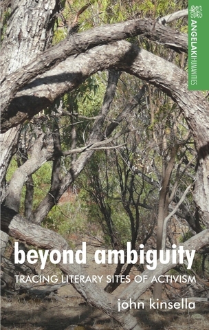 Beyond ambiguity - John Kinsella