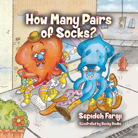 How Many Pairs of Socks? - Sepideh Faraji