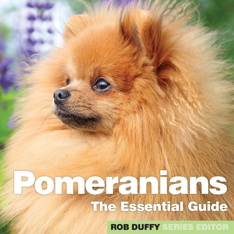 Pomeranians - 