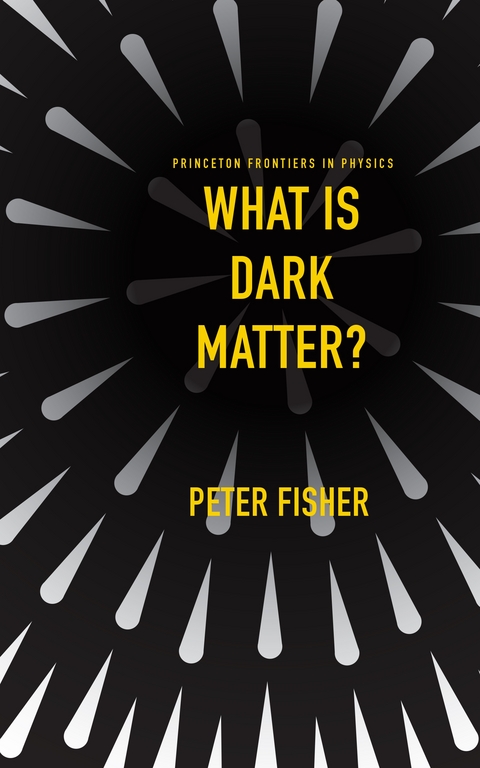 What Is Dark Matter? -  Peter Fisher