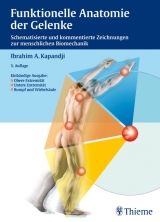 Funktionelle Anatomie der Gelenke - 