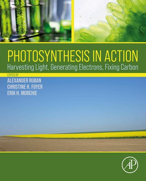 Photosynthesis in Action - 