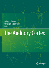 Auditory Cortex - 