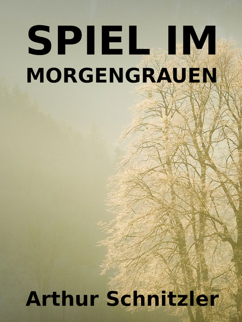 Spiel im Morgengrauen - Arthur Schnitzler