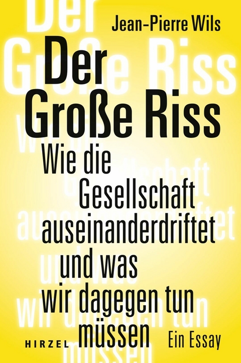 Der Große Riss -  Jean-Pierre Wils