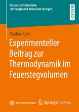 Experimenteller Beitrag zur Thermodynamik im Feuerstegvolumen - Markus Koch