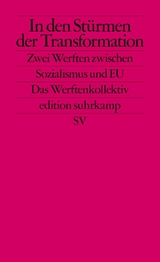 In den Stürmen der Transformation - Philipp Ther, Ulf Brunnbauer, Piotr Filipkowski, Andrew Hodges, Stefano Petrungaro, Peter Wegenschimmel